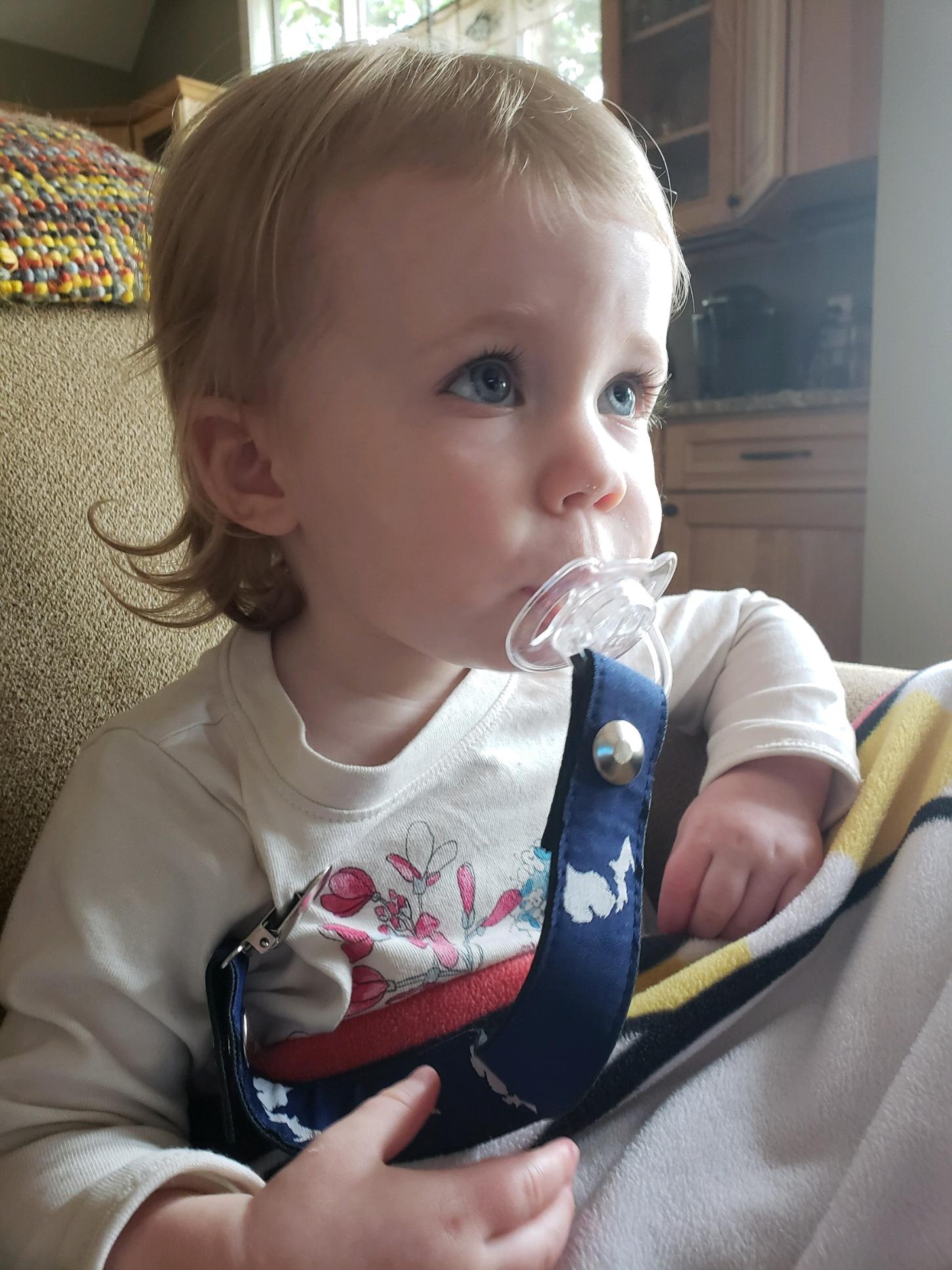 State of Michigan Pacifier Clip Holder