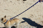 The State of Michigan 6 Ft. Dog Leash